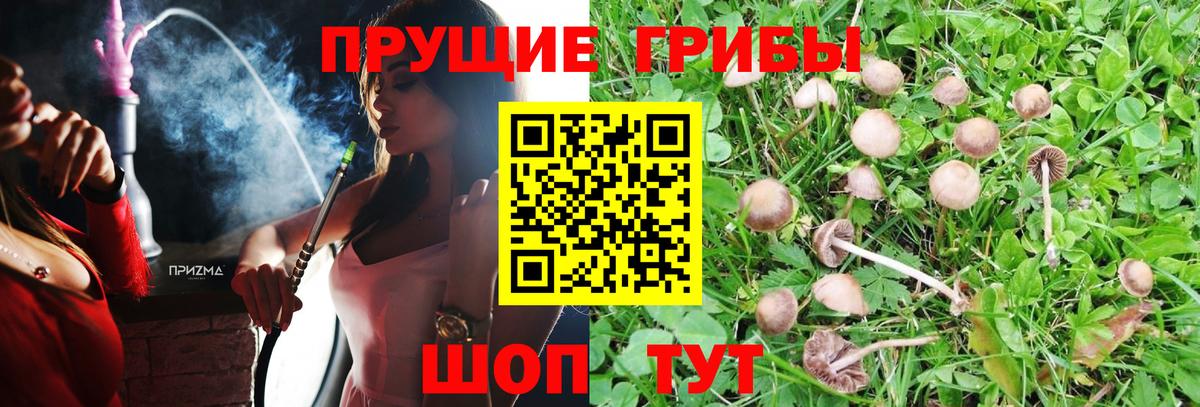 Псилоцибиновые грибы Magic Shrooms  Галлюциногенные грибы мицелий  Каменск-Уральский  Вход с VPN 